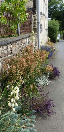 Blühende Bepflanzung vor der Hofeinfriedung des alten Bauernhauses.