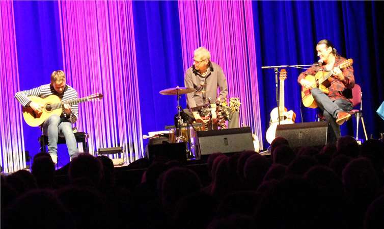 „Bluesig“ wurde es beim „Walking Blues“ von Marek Pasieczny, Uli Krämer und Lulo Reinhardt.