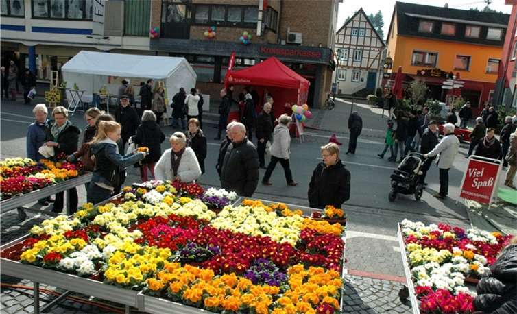 Blumen als Frühlingsboten waren eine Attraktion des Stadtfestes