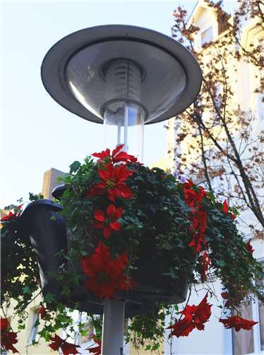 Blumen schmücken die Innenstadt.