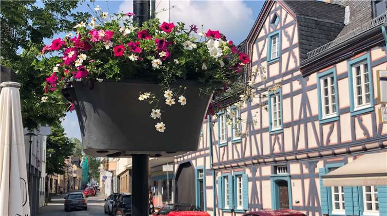 Blumenampeln sind bunte Hingucker. Foto: privat