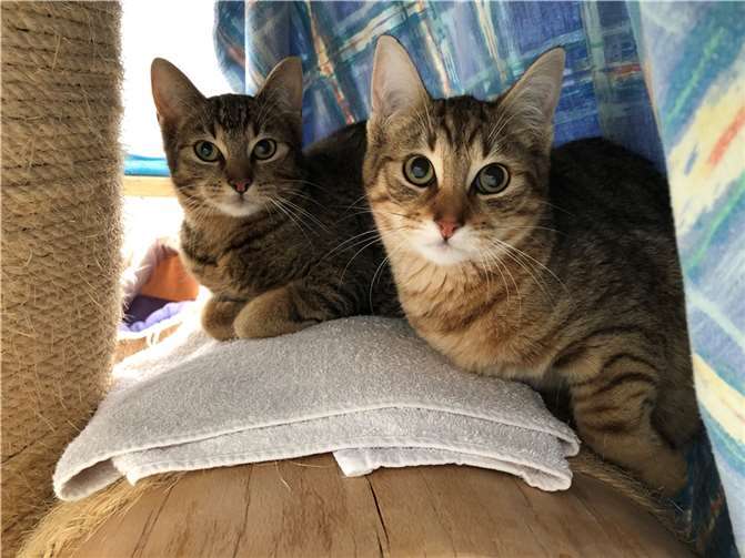 Boba und Bobby. Fotos: privat