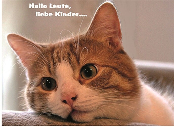 Bobby, der Weiberheld. A. Andres