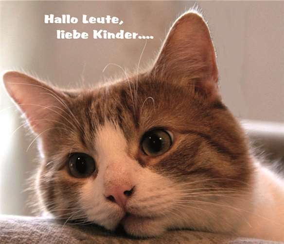 Bobby ist im Moment wirklich geschafft. Capel