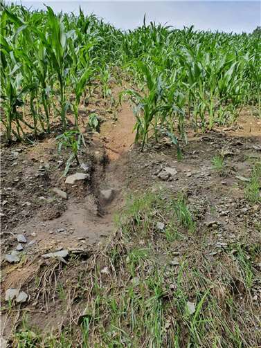 Bodenerosion ist nur eins der Probleme, die der Klimawandel mit sich bringt. Foto: privat