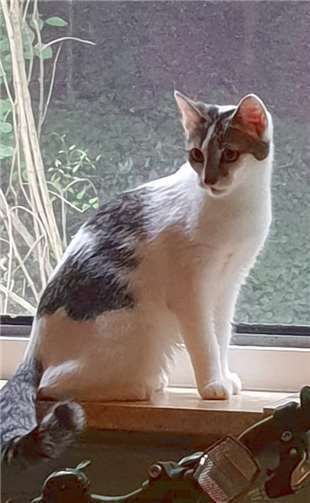 Bonita ist noch sehr vorsichtig.Privat