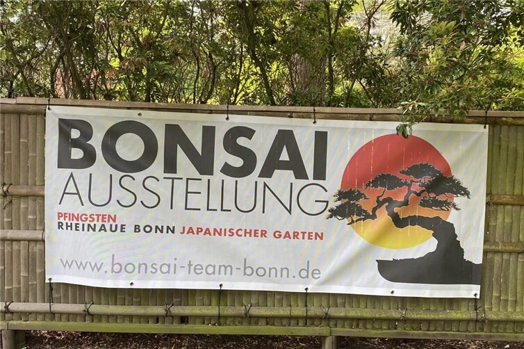 Bonsai-Ausstellung