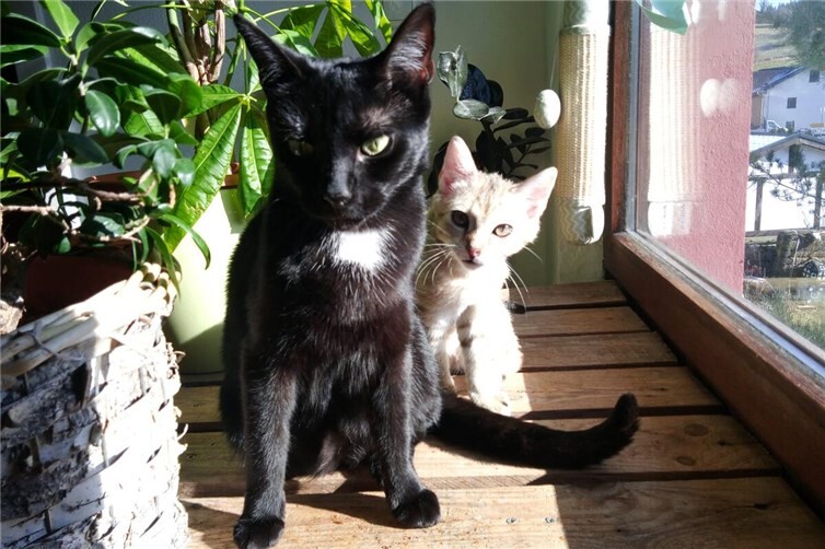 Brainy & Karla