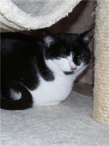 Britta.Fotos: privat