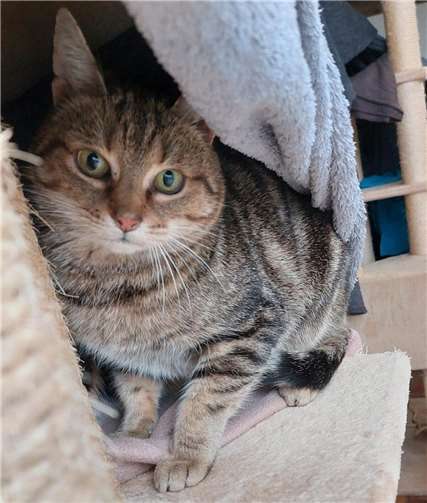 Brötchen. Fotos:Claus Krah