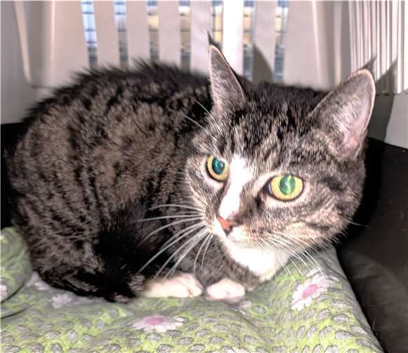 Brunhilde. Foto: privat