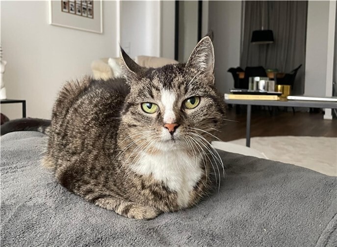 Brunhilde sucht Familienanschluss. Foto: privat
