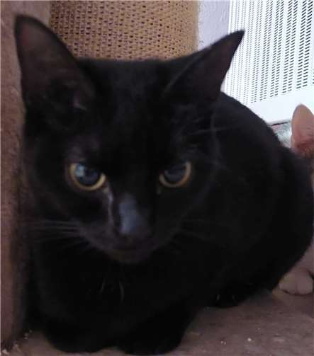 Bruni. Fotos: privat