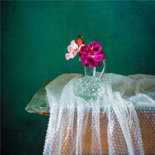 Bubble Wrap.Foto: Elizabeth Joan Clarke 