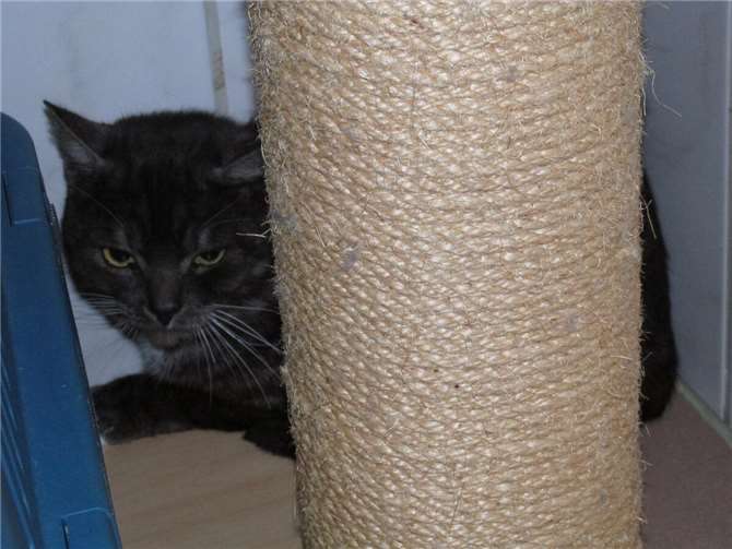 Bubi. Foto: privat