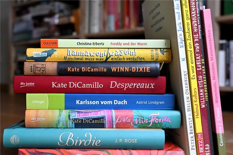 Bücher spenden für die „Bücherüberraschung“ von Rheinbach liest e.V.