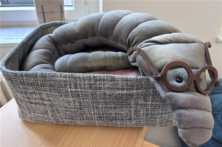 Bücherwurm Kuno freut sich auf die Kuscheltiere