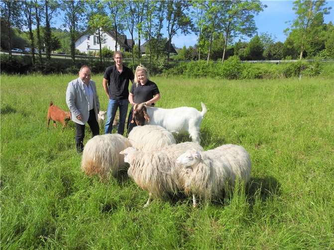 Bürgermeister Alfred Schomisch machte sich im Sommer vor Ort ein Bild von der ökologischen Landschaftspflege, gemeinsam mit Matthias und Heike Dahm, im Kreise der wichtigsten Akteure, der Schafe und Ziegen.  Foto: Abwasserwerk Vordereifel