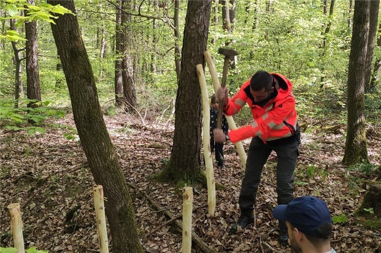 Bürgermeister D. Phiesel rammt einige Pflöcke ein
