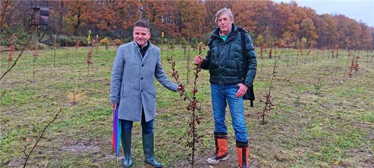 Bürgermeister Holger Jung und Norbert Schaffrath, Kuratoriumsvorsitzender der Stiftung DKD Deutsche Kinderdirekthilfe, (von links) verschaffen sich einen Eindruck von der gelungenen Pflanzaktion. Foto: Stadt Meckenheim