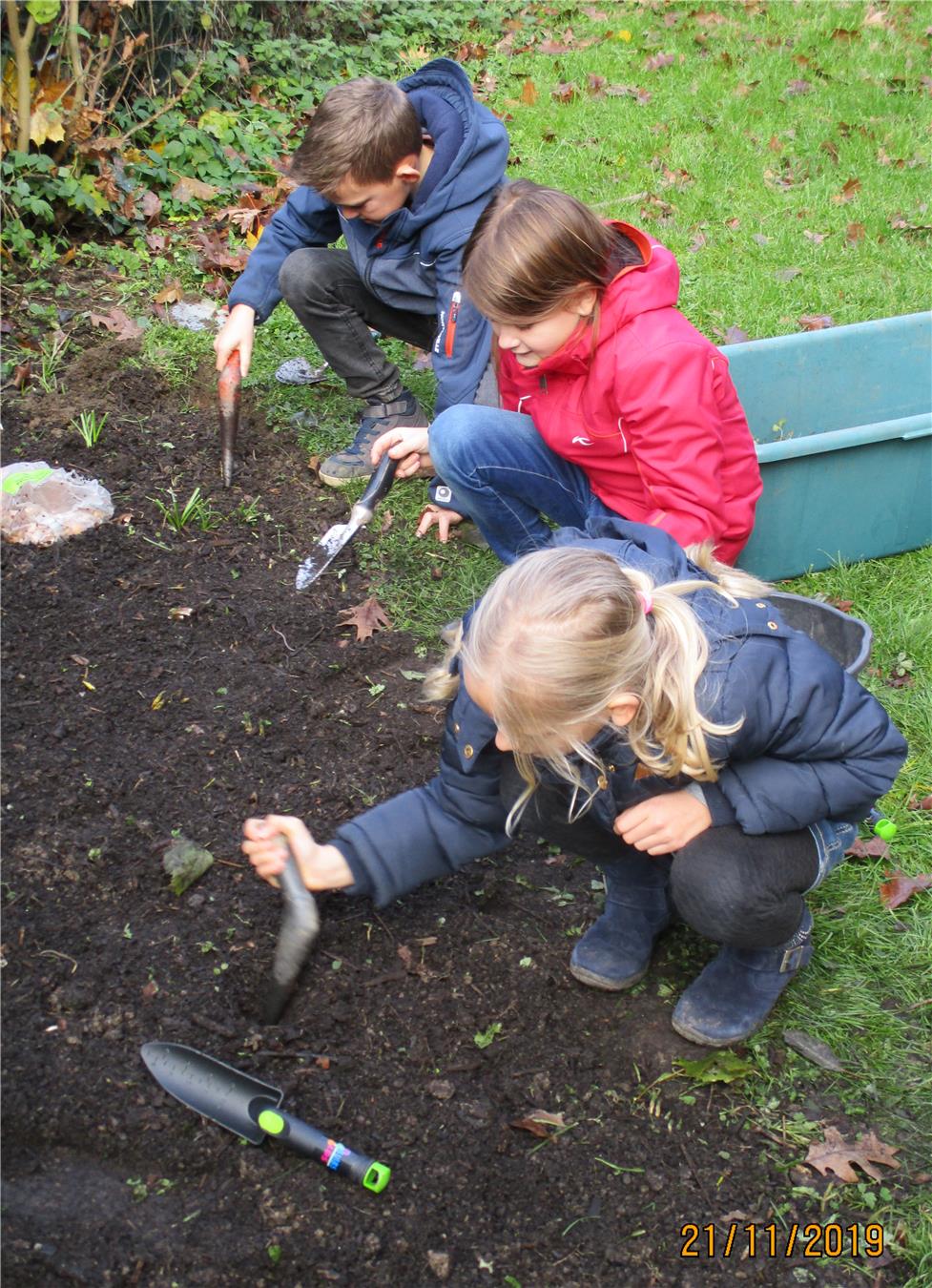 Grundschüler pflanzen Blumenzwiebeln im kleinen Schulgarten