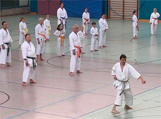 Bundestrainer Efthimios Karamitsos (vorne) demonstrierte den Lehrgangsteilnehmern perfekte Körperspannung und Technik. Foto: privat