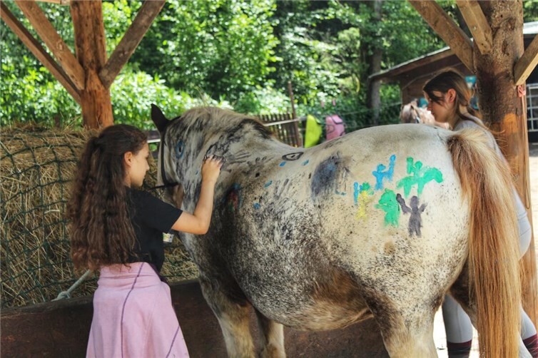 „Bunte“ Ponys waren etwas ganz Besonderes... 