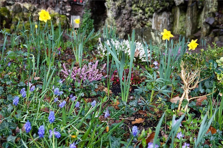 Bunte Vielfalt am Garten Gethsemane (Kreuzweg)