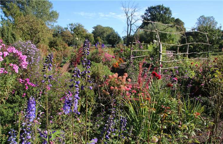 Bunter, abwechslungsreicher Naturgarten. Foto: Eric Neuling