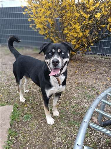 Camina. Fotos: privat