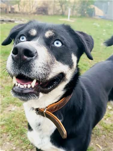 Camina. Fotos: privat