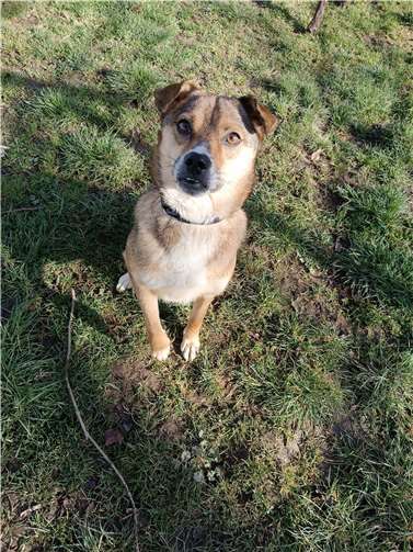 Candiz. Foto: privat