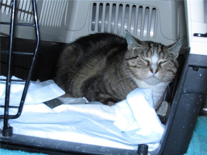 Celeste und Morrison auf der Suche nach Geborgenheit  Celeste.