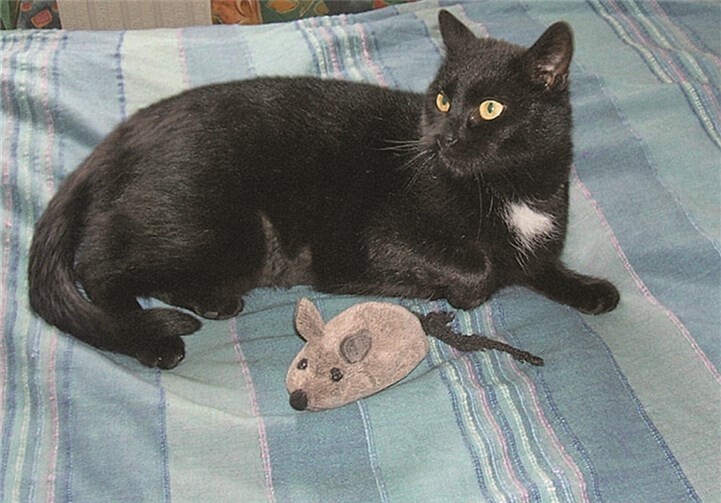 Charlene sucht Menschen mit viel Zeit.