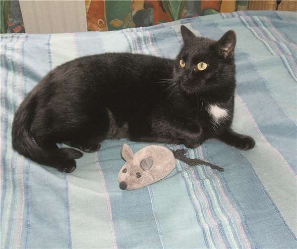 Charlene sucht Menschen mit viel Zeit.Privat