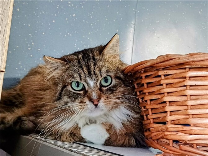 Charlie sucht Anschluss.  Foto: privat