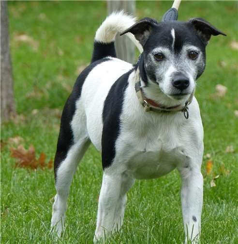 Charly freut sich auf sein neues Zuhause. Foto: privat
