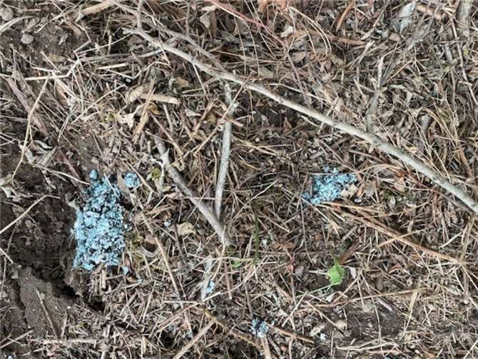 Chemische Rückstände kann man überall im Abschussgebiet finden und lösen sich leider jetzt im Regen auf und verschmutzen die Umwelt.  Fotos: privat