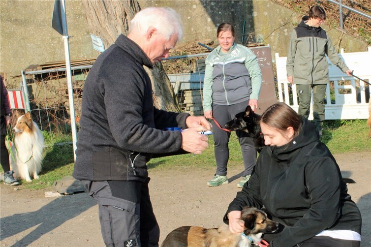 Chippen der Hunde durch den Richter