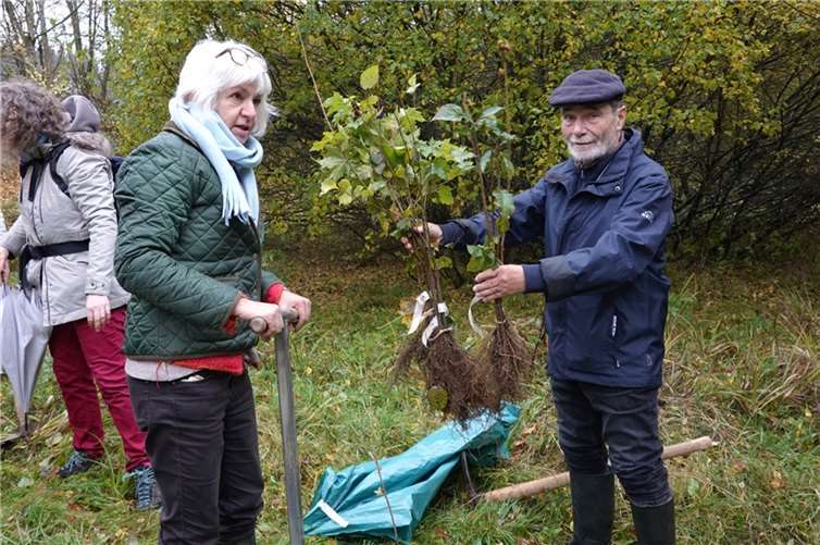 Claudia Schmitz und Winfried Sander bei der Arbeit. Foto: Albert Dietz