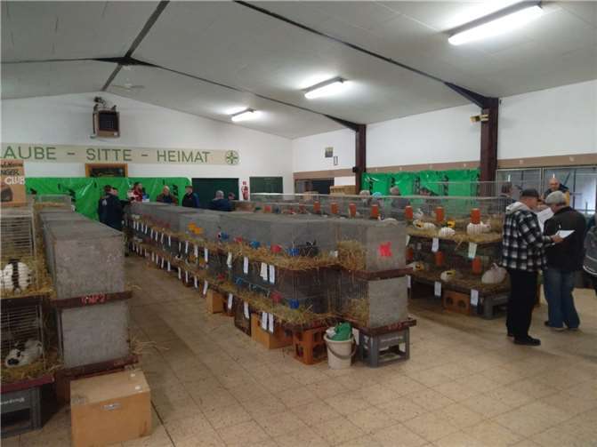 Club- und Kreisschau in der Schützenhalle in Niedermendig.