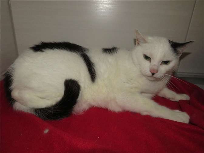 Columbus. Fotos: privat