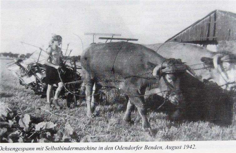 Copyright: Verein Zehnthaus