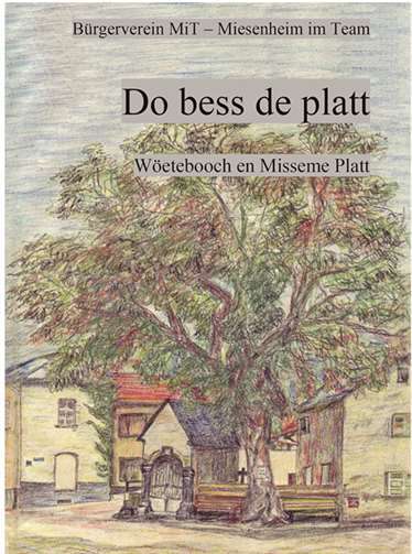 Cover des Wörterbuchs „Do bess de platt. Wöetebooch en Misseme Platt“. privat