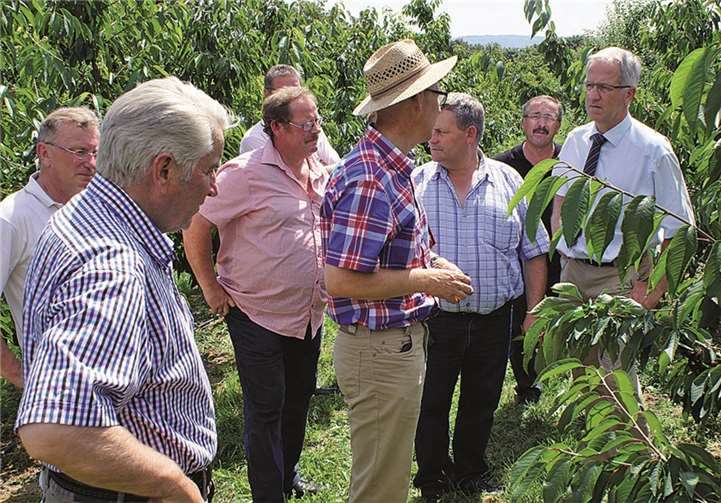 DLR-Mitarbeiter Martin Baler erläuterte der Besuchergruppe den Wandel von Hochstamm-Bäumen zur modernen Bewässerungsanlage im plantagenmäßigen Anbau von Süßkirschen.