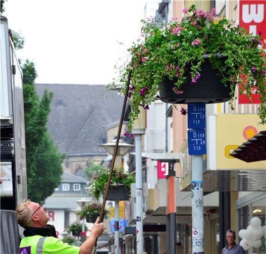 Da das Aktionsforum Neuwied noch weitere 22 Baskets bestellte, hängt der Blumenschmuck in der Mittelstraße an vielen Masten.