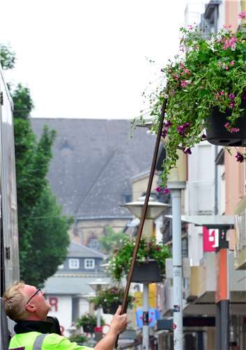 Da das Aktionsforum Neuwied noch weitere 22 Baskets bestellte, hängt der Blumenschmuck in der Mittelstraße an vielen Masten. Archiv-HEP