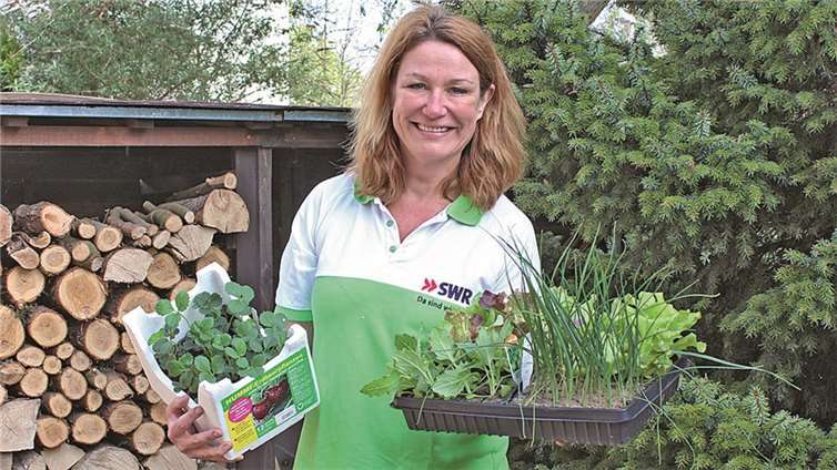 Da die röhrig-forum Kultur-Reisen wie die Landesgartenschau mit SWR-Gartenexpertin Heike Boomgaarden weitgehend ausgebucht sind, wurden jetzt neue Reisen ins Programm genommen, zum Beispiel eine Garten-Reise mit Heike Boomgaarden an den Bodensee. privat