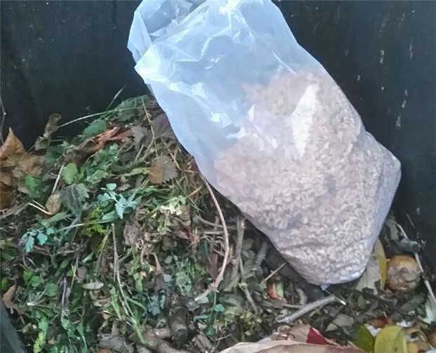 Da ein Unbekannter Plastikmüll zum Biomüll mischte, wurde die Tonne nicht geleert. privat