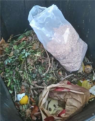 Da ein Unbekannter Plastikmüll zum Biomüll mischte, wurde die Tonne nicht geleert. privat